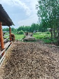 IMG_20260613_135313_098.jpg