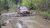 20260510_120420.jpg