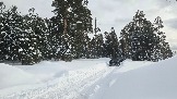 20260221_134028.jpg