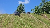20260801_120116.jpg