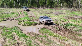 Трофи-лайф фото 4х4 покатушка Ожирелье Озёр 30.04.2024 -  (99).png