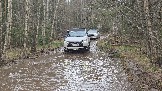 20260501_143153.jpg