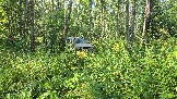 20260801_160930.jpg