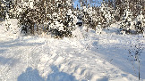 Трофи-лайф фото 4х4 покатушка Каширский зигзаг 24.01.2026 - (24).jpg