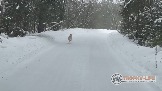 Фото Трофи-лайф 4х4 покатушкаэкспедиция Восточные Пряности 23-5.02.23 - 185.jpg