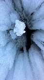 8D1FF6EE-ACA3-424C-AE0E-4AAB6FBF1F02.jpeg