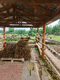 IMG_20260613_135219_513.jpg