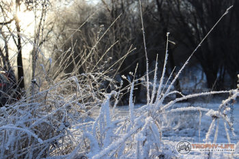 Фото Трофи-лайф 4х4 покатушка Южные Косогоры 12.12.20 - 167.JPG