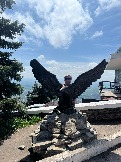 IMG_8811.JPEG
