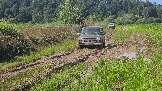 20260801_135333.jpg