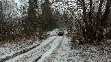 Трофи-лайф фото 4х4 покатушка Школа 4х4 16.02.2025 -  (226).jpg