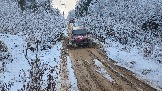 20251115_122847.jpg