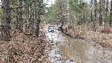 20250315_121252.jpg