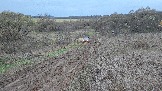 20251025_170331.jpg