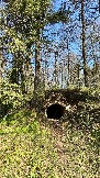 IMG_2780.JPG