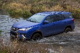 IMG_8847.jpeg