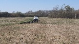 20250420_133955.jpg
