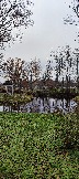 IMG_20231104_104401.jpg