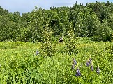 IMG_8763.JPG