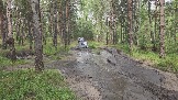 2026-07-11 13-49-29.JPG