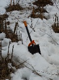 P1020169.JPG