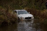 IMG_8795.jpeg