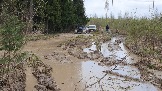 20250426_124516.jpg