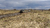 Трофи-лайф фото 4х4 покатушка Ступинский Крюк 18.04.2026 - 41.jpg