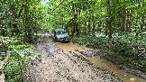 IMG_0993.JPG