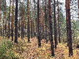 IMG_5680.JPG