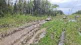 20260510_161302.jpg
