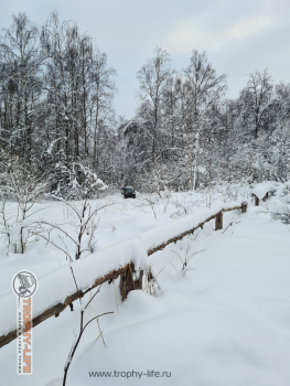 Фото Трофи-лайф 4х4 покатушка Мещерские Скитания 04.01.22 - 150.jpg