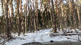 Трофи-лайф фото 4х4 покатушка  Мещерские Скитания. Шатура - Петушки 22.02.2025 -  (7).jpg