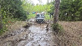 20260510_113159.jpg