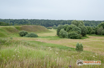 _MG_5326.jpg
