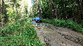 Трофи-лайф фото 4х4 покатушка Дмитровская Игрушка 13.09.2025 - (26).jpg