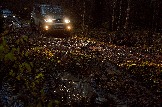 24-10-26_trophy-life_17 _0521jpg_web.jpg