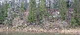 IMG_20231105_111736.jpg