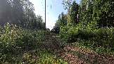 Трофи-лайф фото 4х4 Корпаративный Джип-тур в Яхроме 17.08.2024 - (23).png