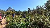 Трофи-лайф фото 4х4 покатушка Волоколамский Кремль 07.09.2024 - (9).png