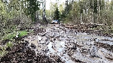 Трофи-лайф фото 4х4 покатушка Плещеевская Кругосветка 26.04.2025 - (93).jpg
