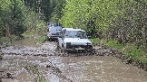 20260510_120259.jpg