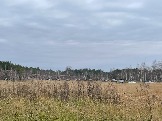 2025_11_03_12_28_IMG_5108.JPG