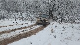 20251115_123803.jpg