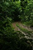 DSC05053.jpg