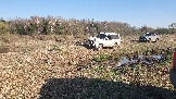 20250420_165631.jpg