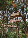 IMG_20260613_140459_056.jpg