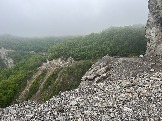 IMG_8502.JPEG