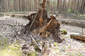 Фото Трофи-лайф 4х4 покатушка-экспедиция Мещерские Озёра 8-9.05 (10).jpg