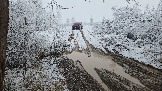 20251115_112517.jpg